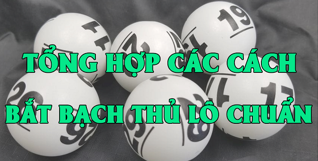 Soi dựa theo hình quả trám